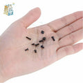 M2 M3 Screw Set KM2 Machine Laptop Screw Flat Head Phillips Drive Accessories for Repair Computer Electronic Laptop Scre